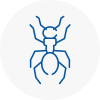 Ant Removals In Bingham