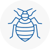 Bed Bug Extermination In Bingham