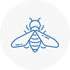 Bee Nest Removal Bingham