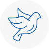 Bird Prevention Bingham