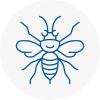 Bingham Hornet Nest Removals
