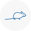 Mice Exterminators In Bingham