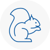 Bingham Rodent Removals