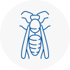 Bingham Wasp Nest Removal